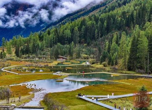 Alpine lakes and forest scenery in Jiuzhaigou