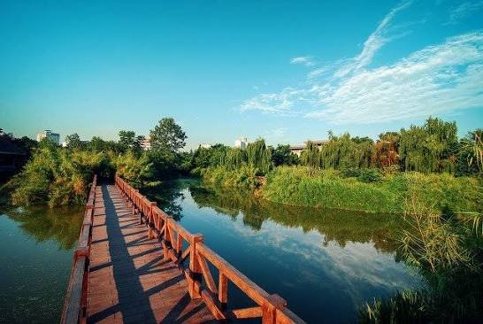 Green paths and waterways inside Huanhuaxi Park in Chengdu