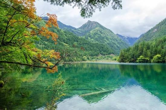 Mountain and forest reflections on Mirror Lake in Jiuzhaigou