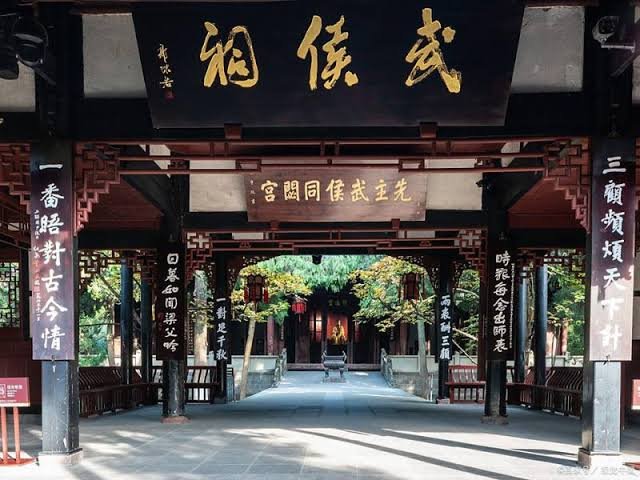 Giant panda experience in Chengdu